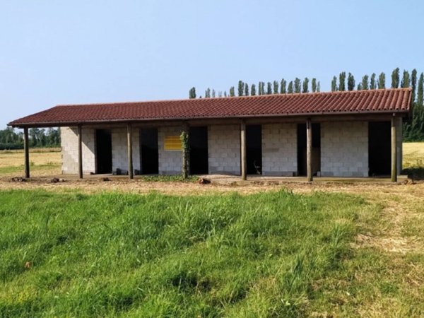 terreno agricolo in vendita a Monselice