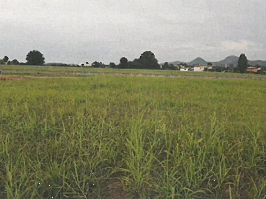 terreno edificabile in vendita a Monselice in zona Ca' Oddo