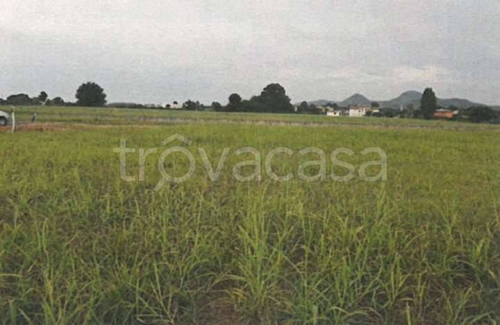 terreno edificabile in vendita a Monselice in zona Ca' Oddo