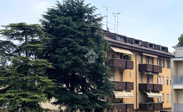 appartamento in vendita a Monselice