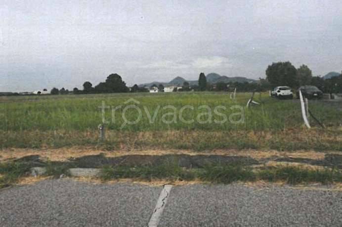 terreno edificabile in vendita a Monselice in zona Ca' Oddo