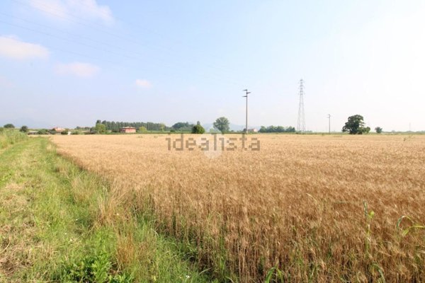 terreno agricolo in vendita a Monselice