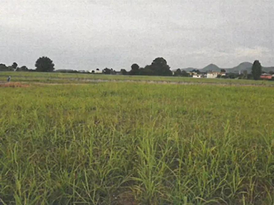 terreno edificabile in vendita a Monselice in zona Ca' Oddo