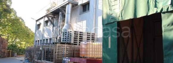 monolocale in vendita a Monselice in zona San Bortolo