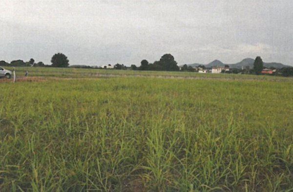 terreno edificabile in vendita a Monselice in zona Ca' Oddo
