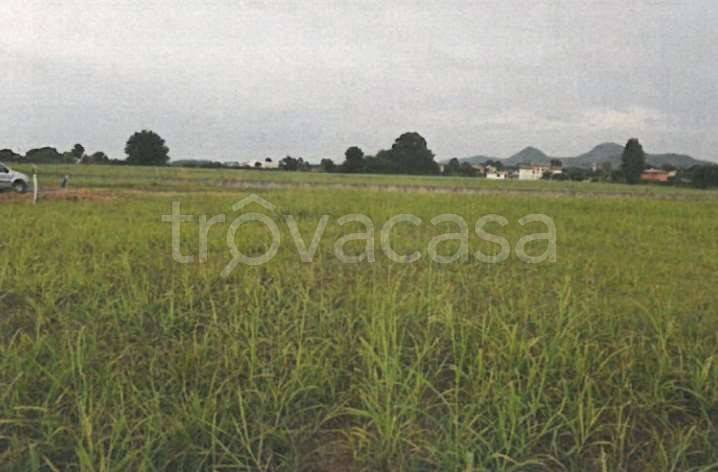 terreno edificabile in vendita a Monselice in zona Ca' Oddo
