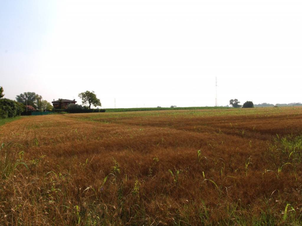 terreno agricolo in vendita a Monselice