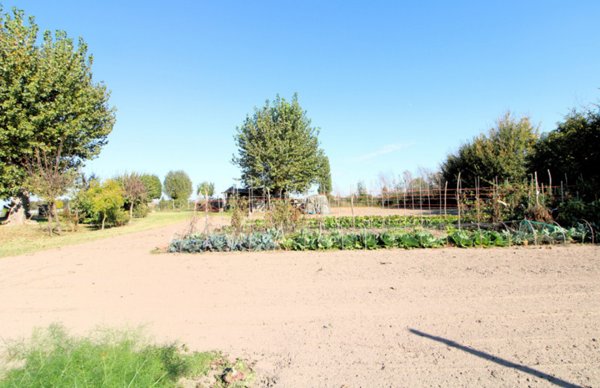 casa indipendente in vendita a Monselice in zona Ca' Oddo