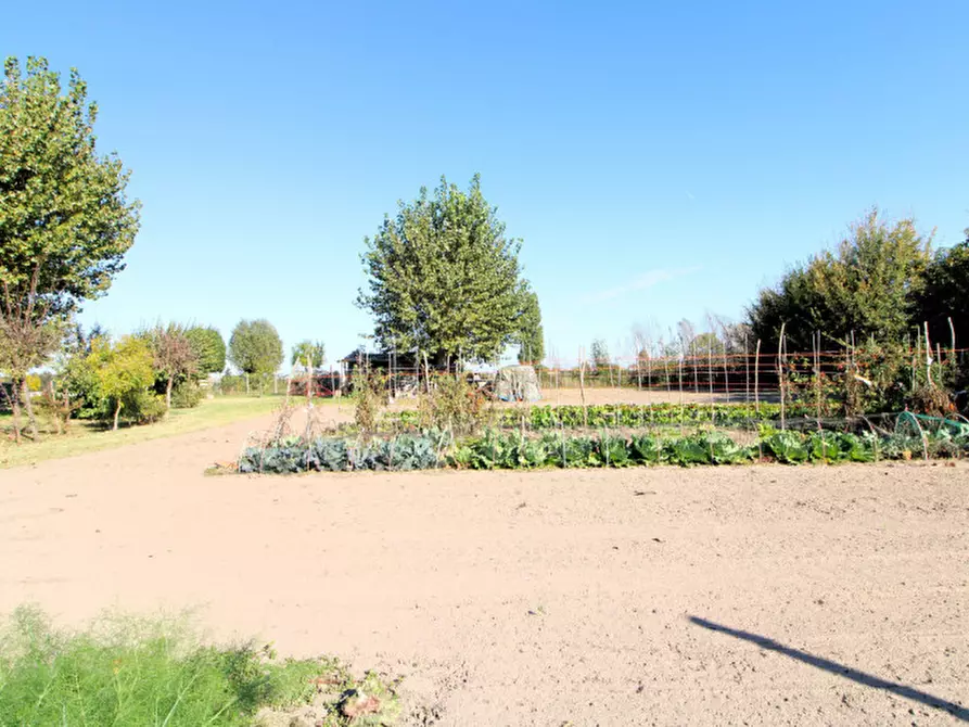 casa indipendente in vendita a Monselice