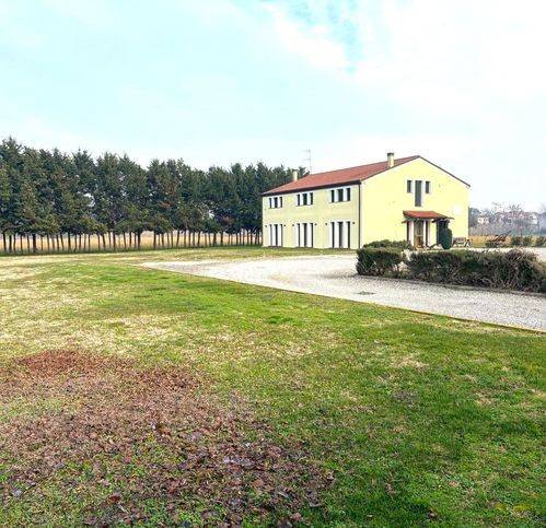 negozio in vendita a Monselice