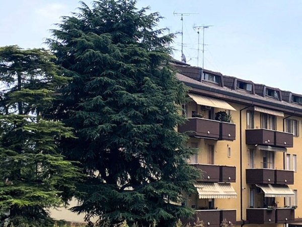 attico in vendita a Monselice