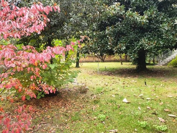 intera palazzina in vendita a Monselice