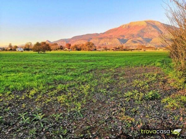 terreno agricolo in vendita a Monselice
