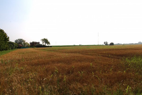 casa indipendente in vendita a Monselice