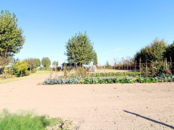 terreno edificabile in vendita a Monselice