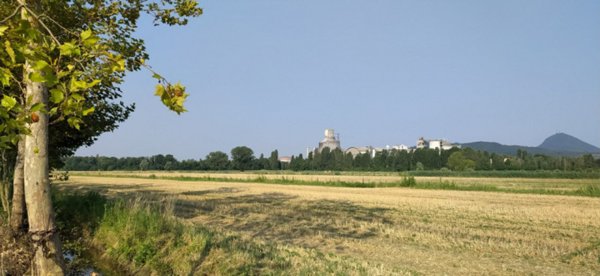 terreno agricolo in vendita a Monselice