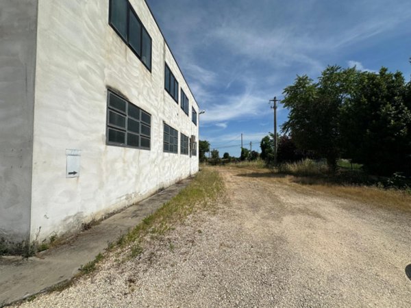 capannone in vendita a Monselice