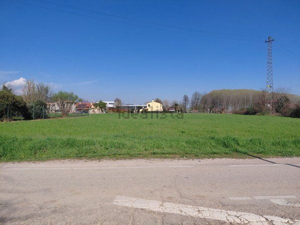 terreno agricolo in vendita a Monselice