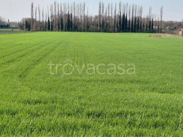 terreno agricolo in vendita a Monselice