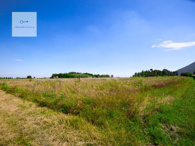 terreno agricolo in vendita a Monselice