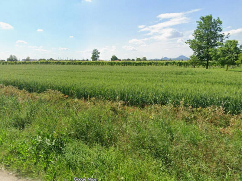 casa indipendente in vendita a Monselice