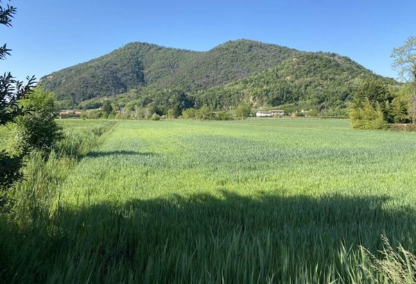 terreno edificabile in vendita a Monselice in zona Monticelli
