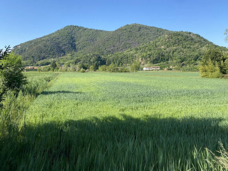 terreno edificabile in vendita a Monselice in zona Monticelli