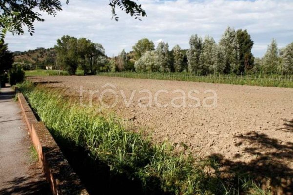 terreno agricolo in vendita a Monselice in zona Monticelli