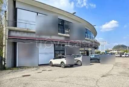 negozio in vendita a Monselice in zona Ca' Oddo