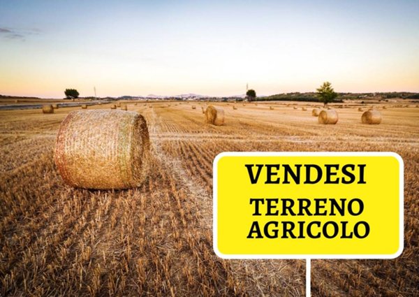 terreno agricolo in vendita a Monselice