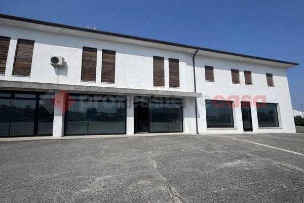 appartamento in vendita a Monselice