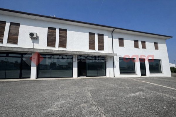 appartamento in vendita a Monselice