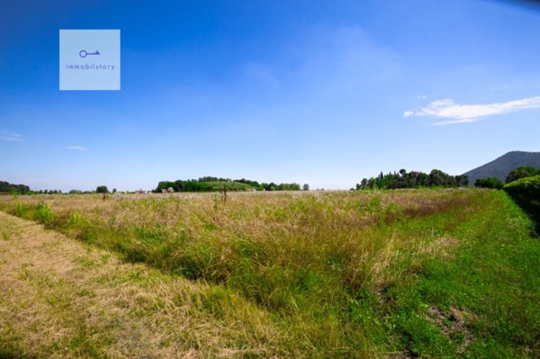 terreno agricolo in vendita a Monselice in zona Monticelli