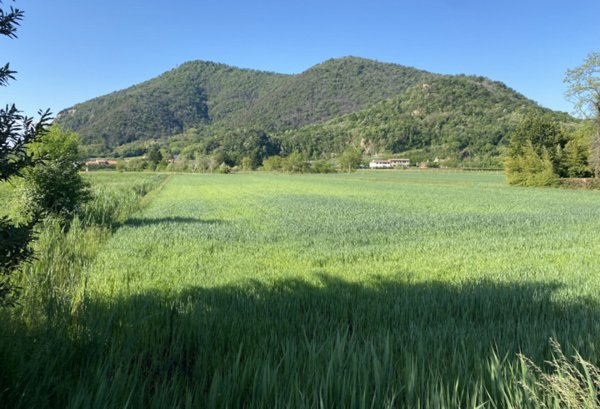 terreno edificabile in vendita a Monselice in zona Monticelli