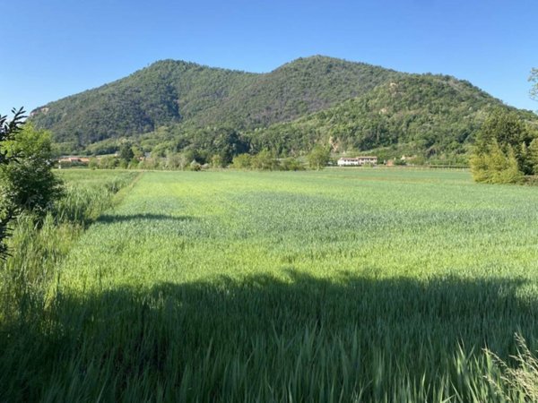 terreno agricolo in vendita a Monselice in zona Monticelli