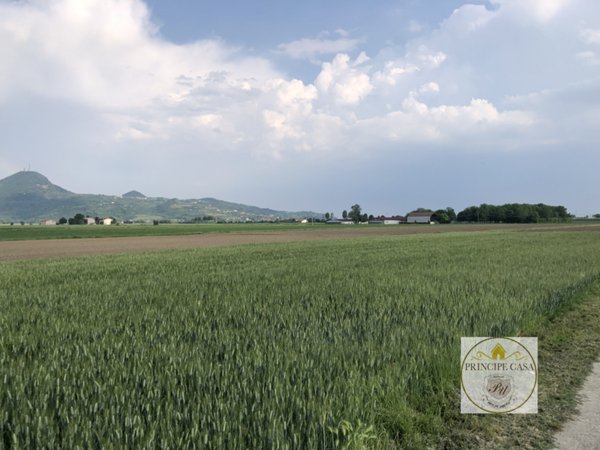 casa indipendente in vendita a Monselice