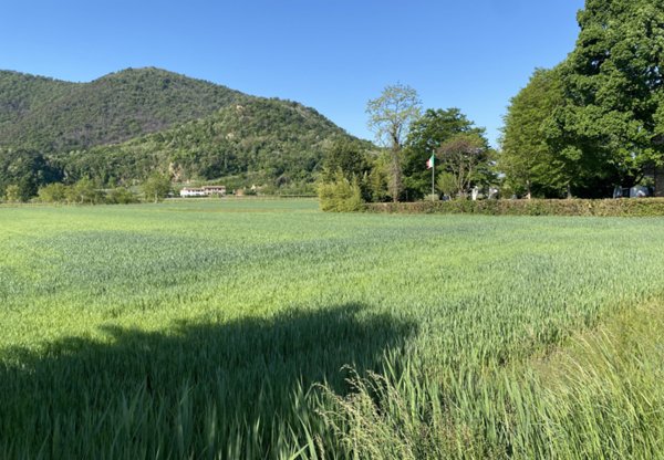 terreno in vendita a Monselice in zona Monticelli