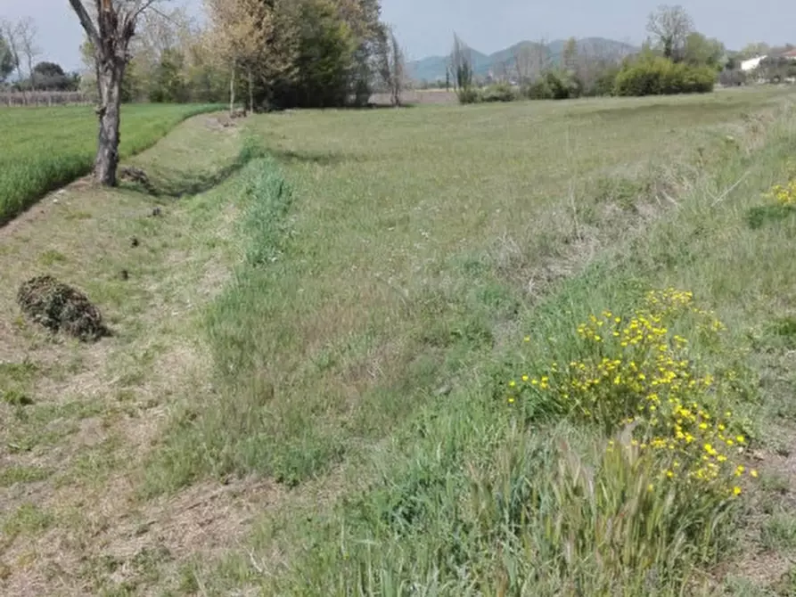 terreno in vendita a Monselice