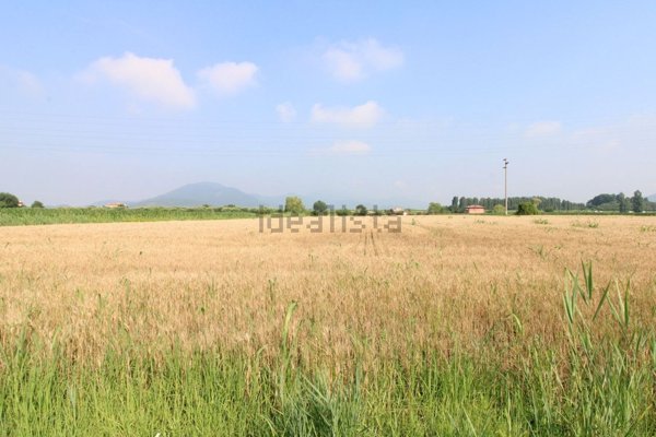 terreno in vendita a Monselice in zona Monticelli