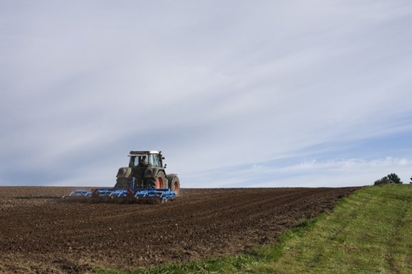 terreno in vendita a Monselice