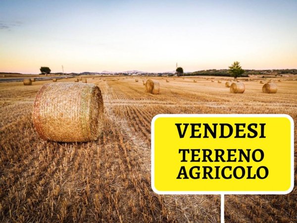 terreno in vendita a Monselice
