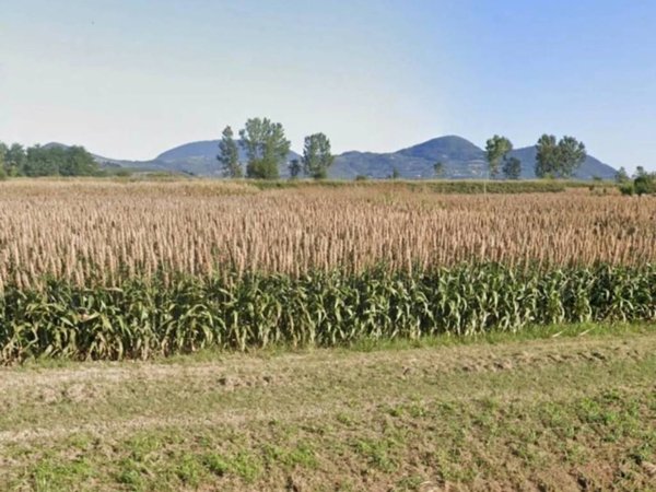 ufficio in vendita a Monselice
