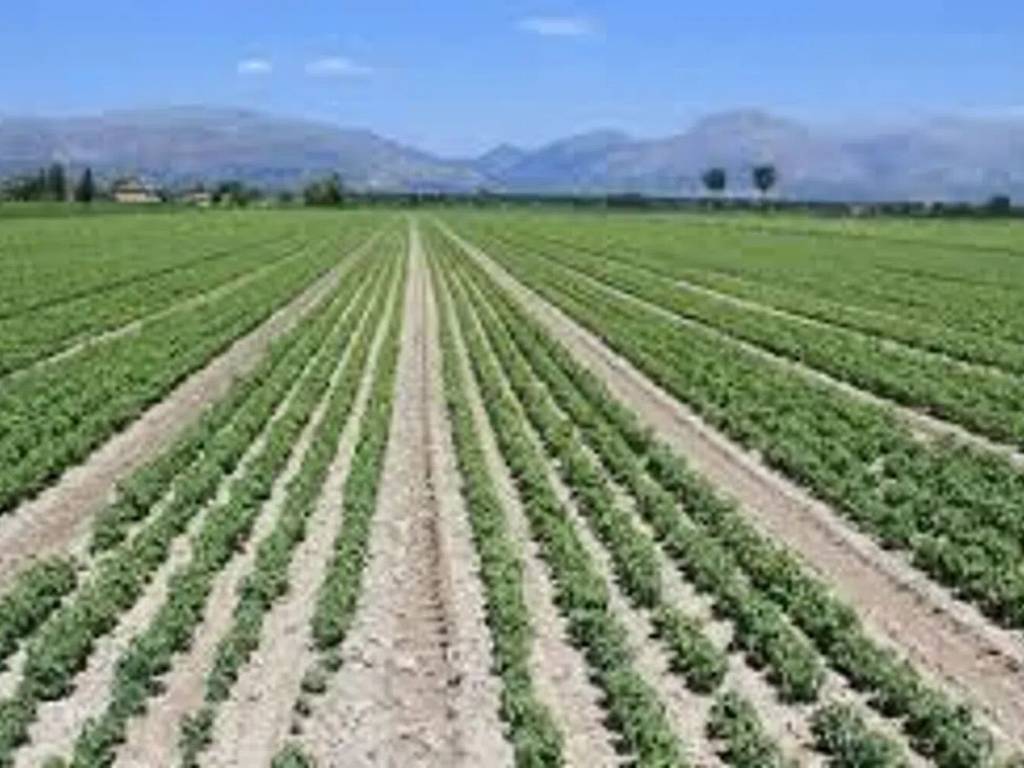 terreno in vendita a Monselice