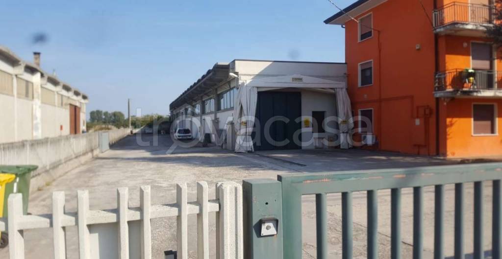 locale commerciale in vendita a Montagnana