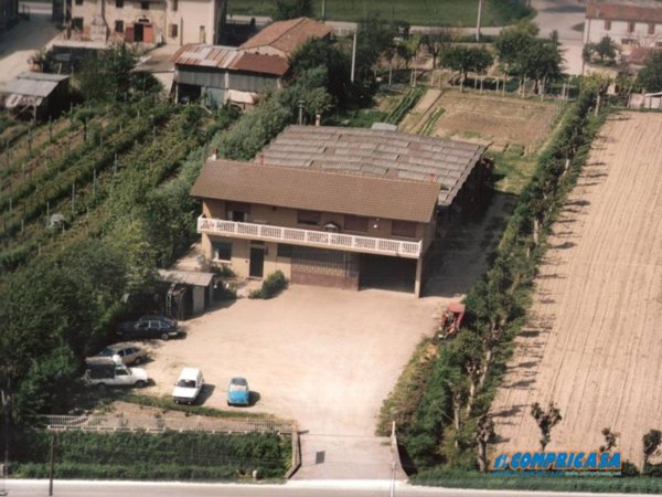 capannone in vendita a Montagnana