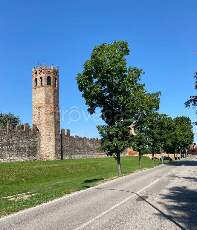 appartamento in vendita a Montagnana