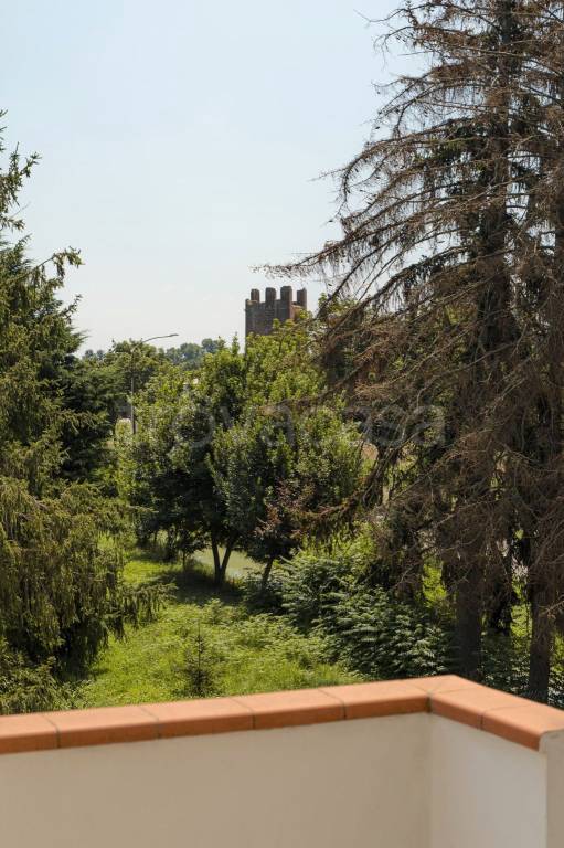 appartamento in vendita a Montagnana