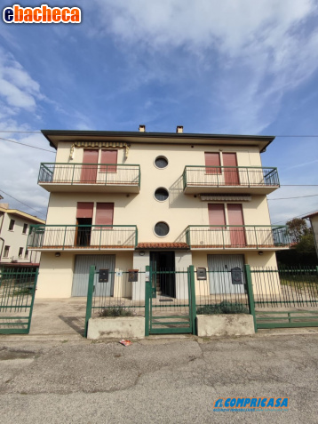 appartamento in vendita a Montagnana