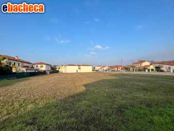 terreno edificabile in vendita a Montagnana