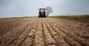 terreno agricolo in vendita a Montagnana